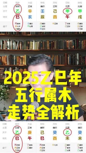 2025五行|2025年生肖属什么？